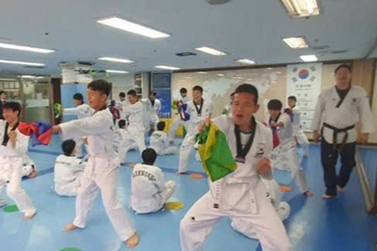 Taekwondo Experience